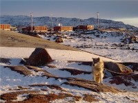 On Guard for the Village